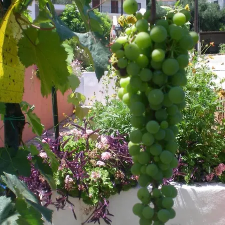 Filoxenia Corfu Διαμέρισμα Μωραΐτικα